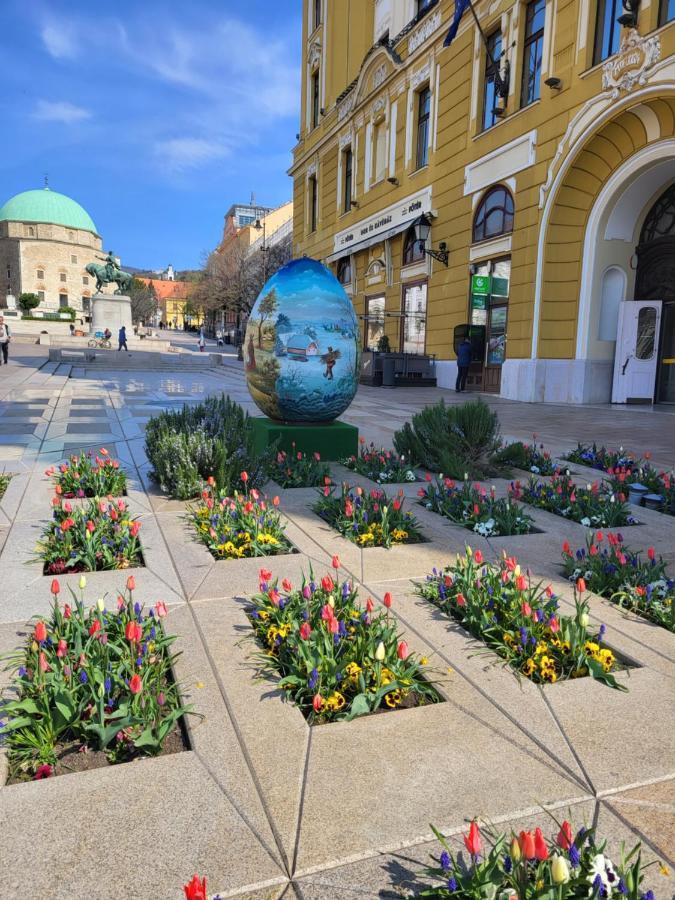 Downtown Studio Apartman Pětikostelí Exteriér fotografie